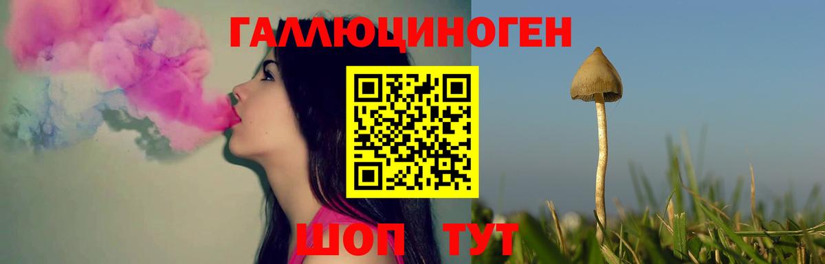 Псилоцибиновые грибы Psilocybe  Вход с VPN  Ирбит  Псилоцибиновые грибы GOLDEN TEACHER 